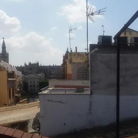 Apartamento Panther Sierpes *